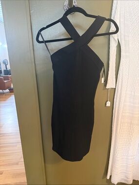 Aritzia- Babaton dress